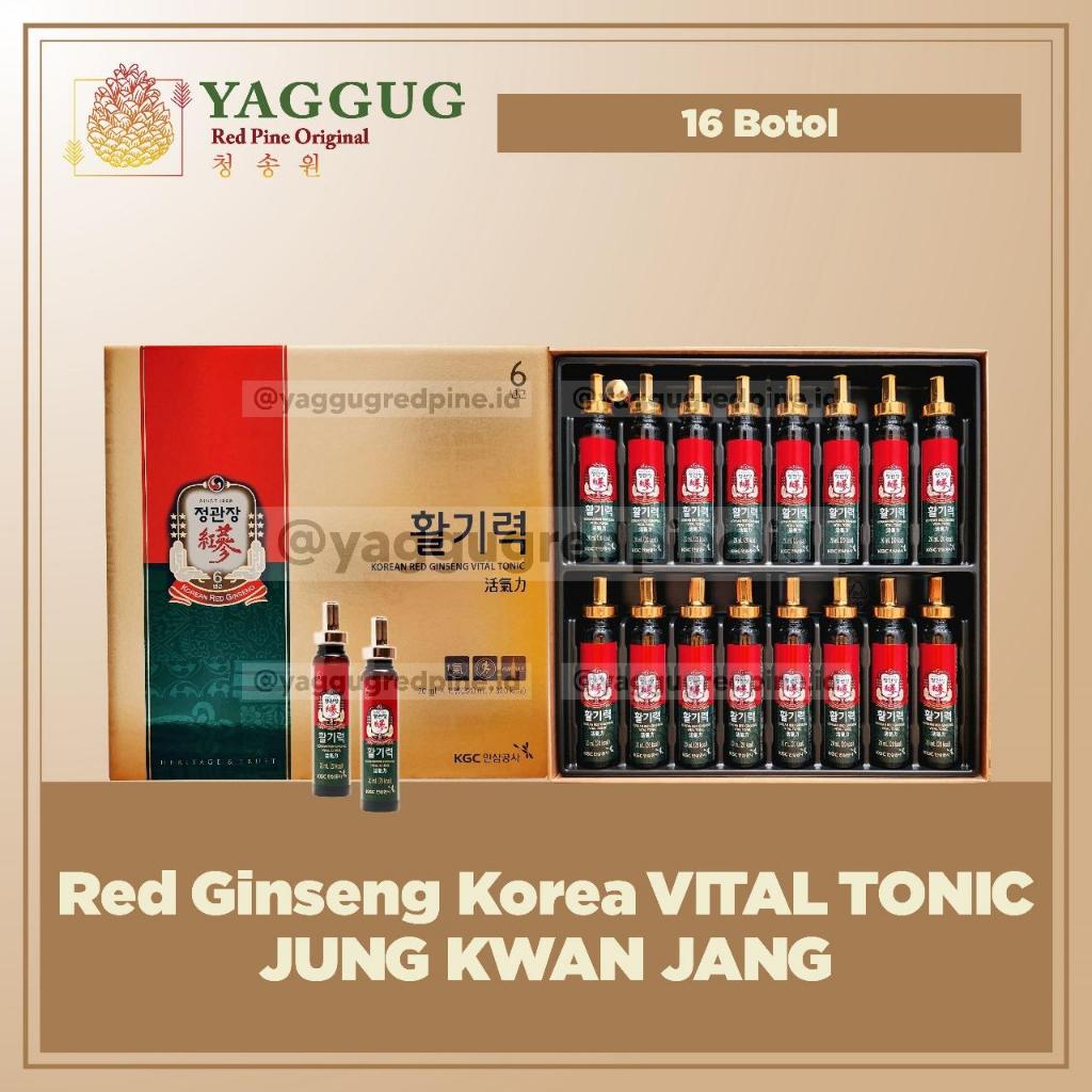 

Red Ginseng Korea Vital Tonic Jung Kwan Jang 16 Botol