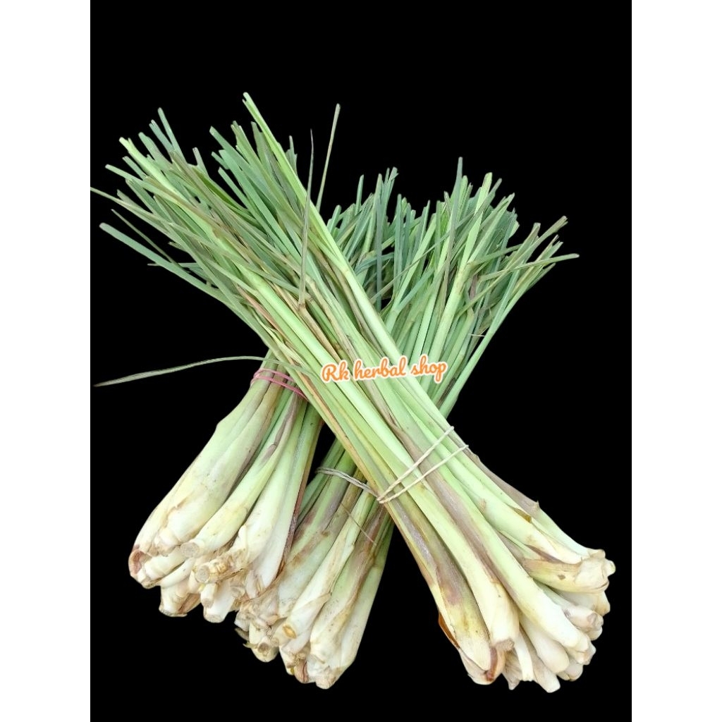 

sereh segar herbal pengusir nyamuk ampuh termurah 1kg