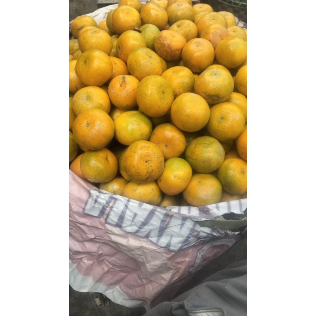 

JERUK MEDAN 1kg 27.000