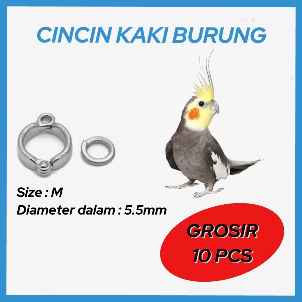 GROSIR 10 PCS RING BORGOL/ CINCIN KAKI BURUNG FALK, BETET JAWA &  MONK.