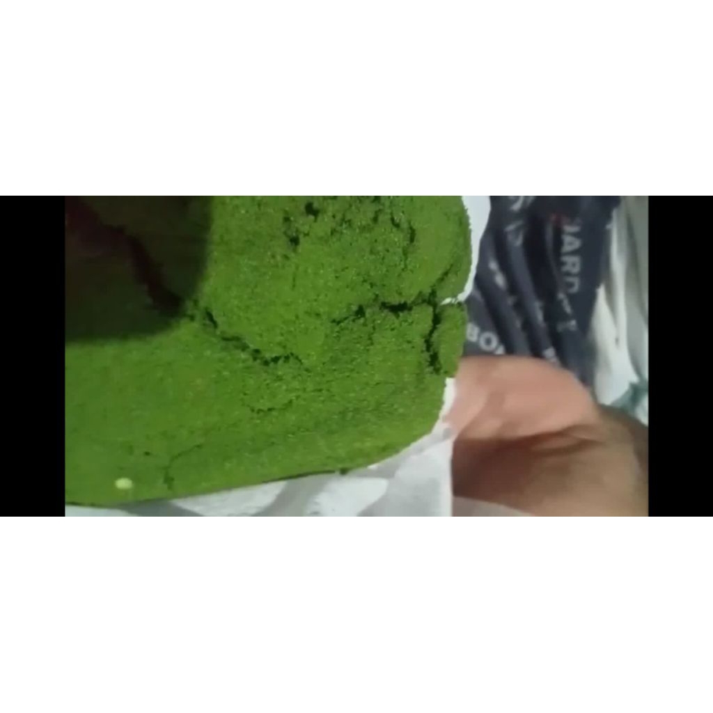 bibit wolfia 500gr dan 1kg wolffia arizhta pakan ikan dan unggas