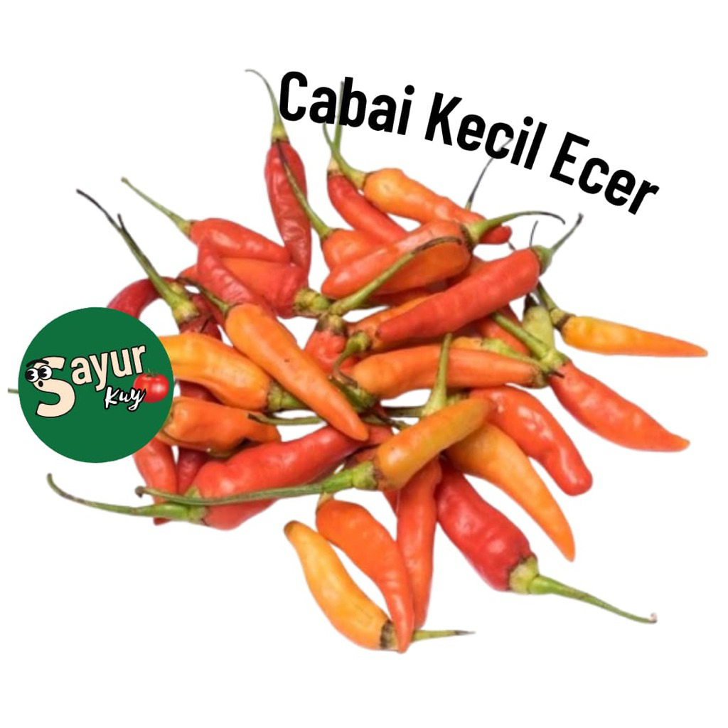 

Cabai Rawit Beli suka suka // Cabai Kecil Fresh