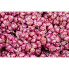 

Bawang merah super asli brebes