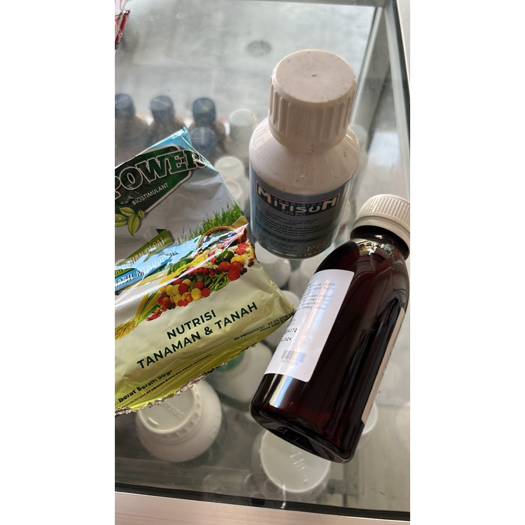 

paket obat cabai