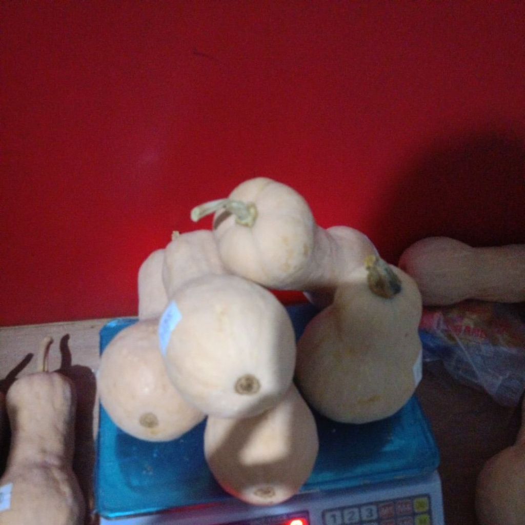 

Paket Labu Madu 1000gr 5buah