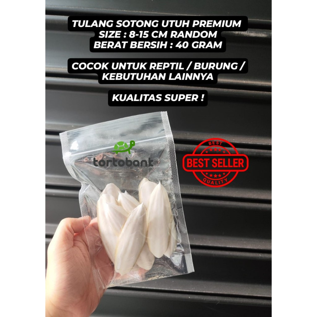 TULANG SOTONG UTUH PREMIUM - CUTTLEFISH BONE - KALSIUM KURA DARAT - KALSIUM TORTOISE - KALSIUM BURUN