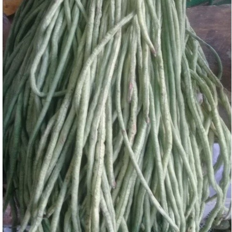 

KACANG PANJANG BERAT 100 gr