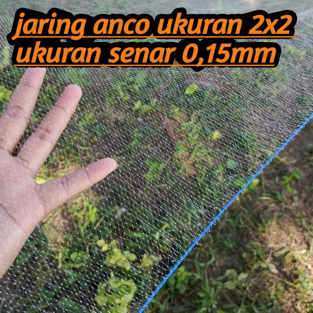 jaring anco lunjar dan udang  paling kecil 3/8 inchi ukuran 2x2 jaring ikan