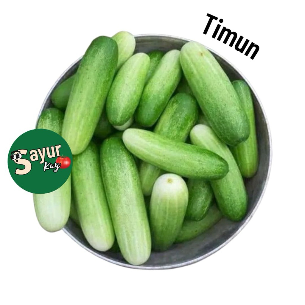 

INSTANT Siap Kirim Timun // Mentimun Per pcs
