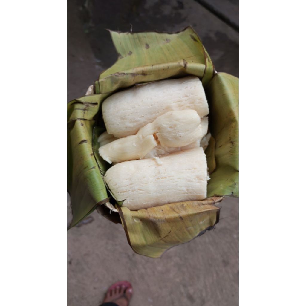 

tape singkong asli Gembong