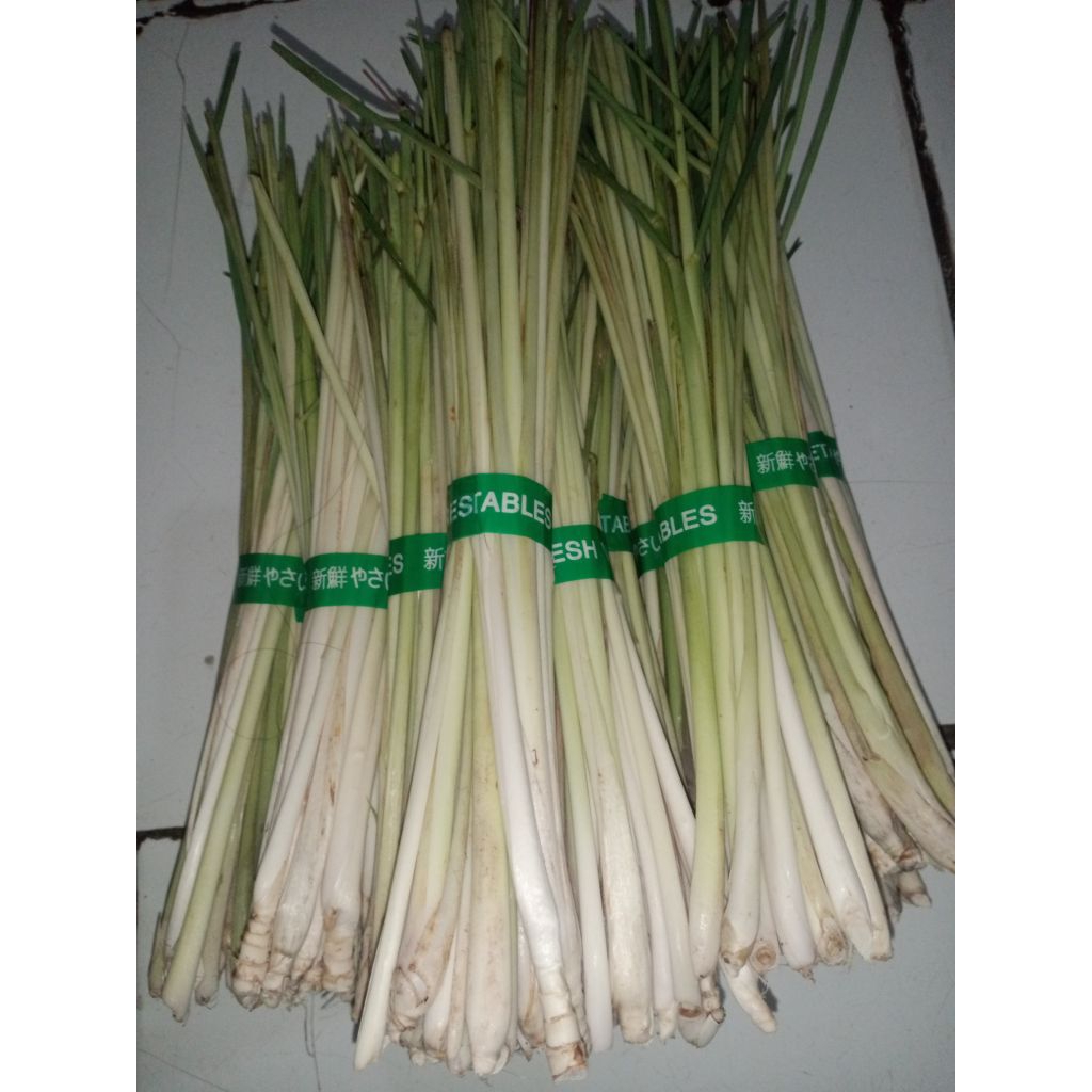 

DAUN SEREH FRESH DIPETIK DADAKAN