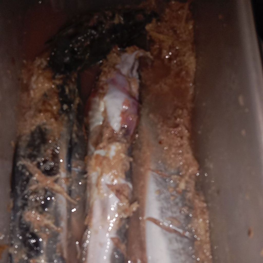 

Lele Bumbu rempah Frozen