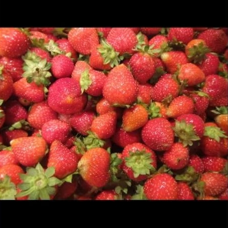 

Buah strobery