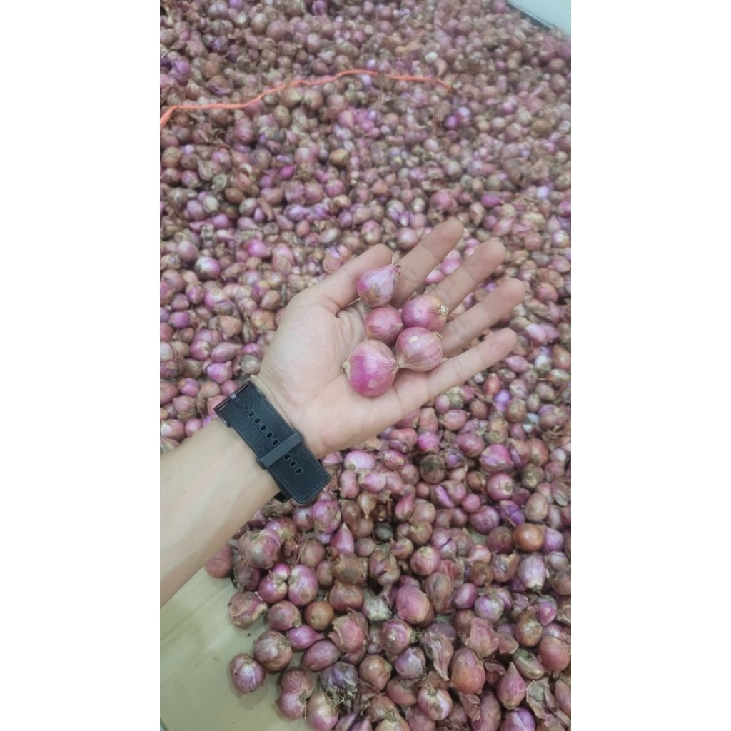 

Bawang merah Uk 500 grm