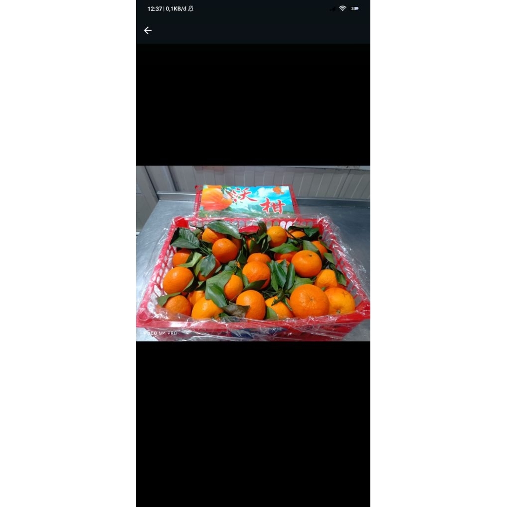 

Jeruk wogan daun 500gr_manis