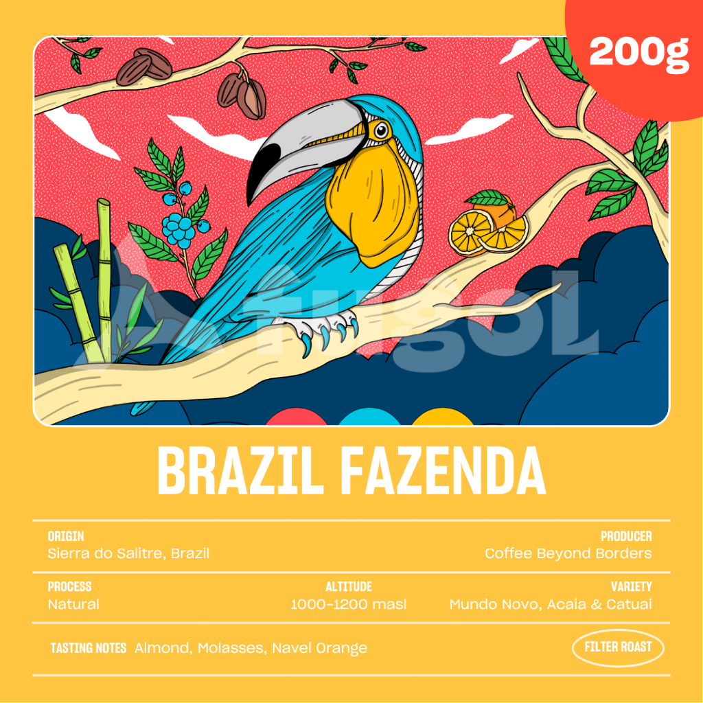 

Kopi Arabika BRAZIL FAZENDA SANTA MARIA (200 gr) Single Origin