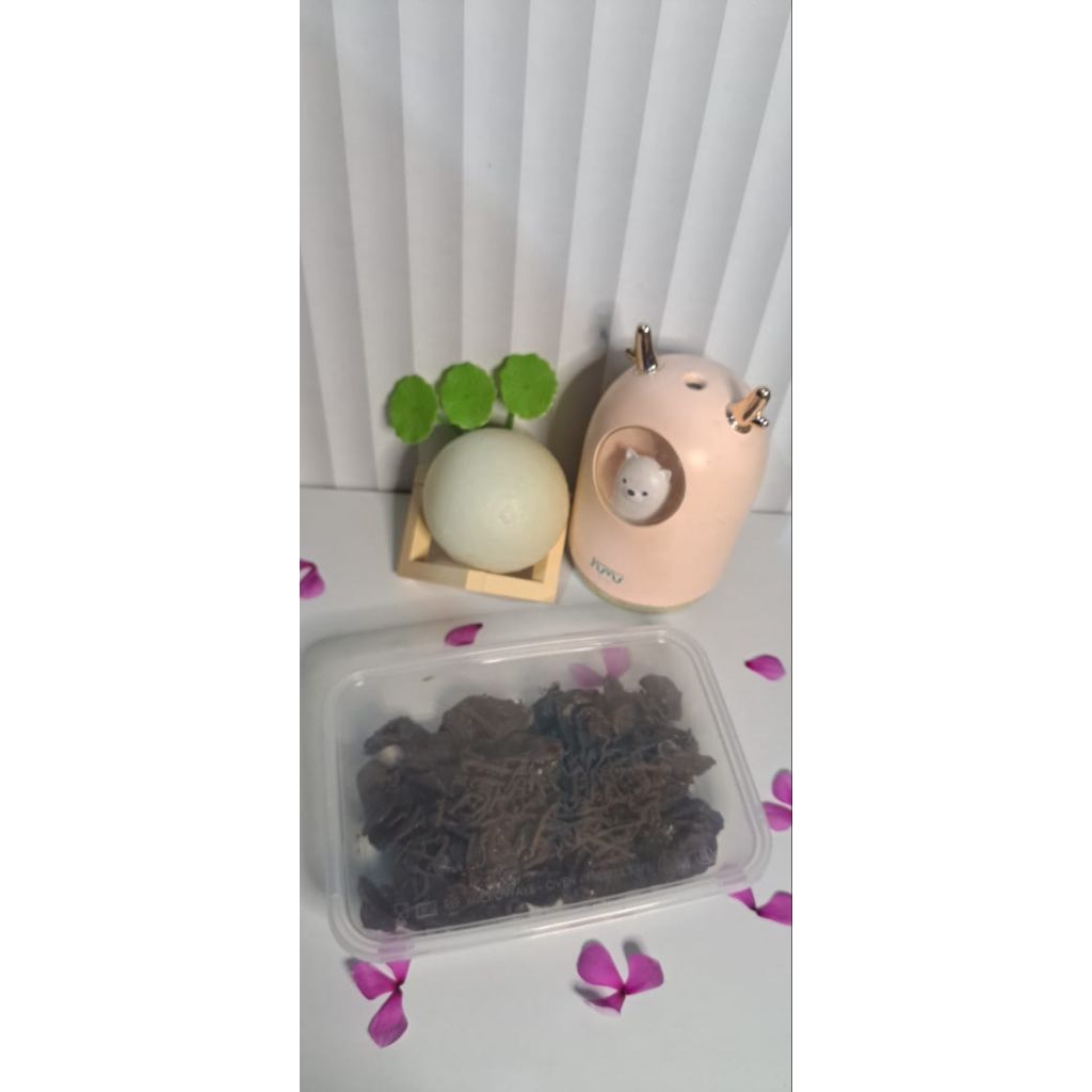 

PROMO 100gr Kripik Pisang Lumer/Kripik pisang lumer coklat/kripik pisang lumer varian rasa/kripik pisang enak