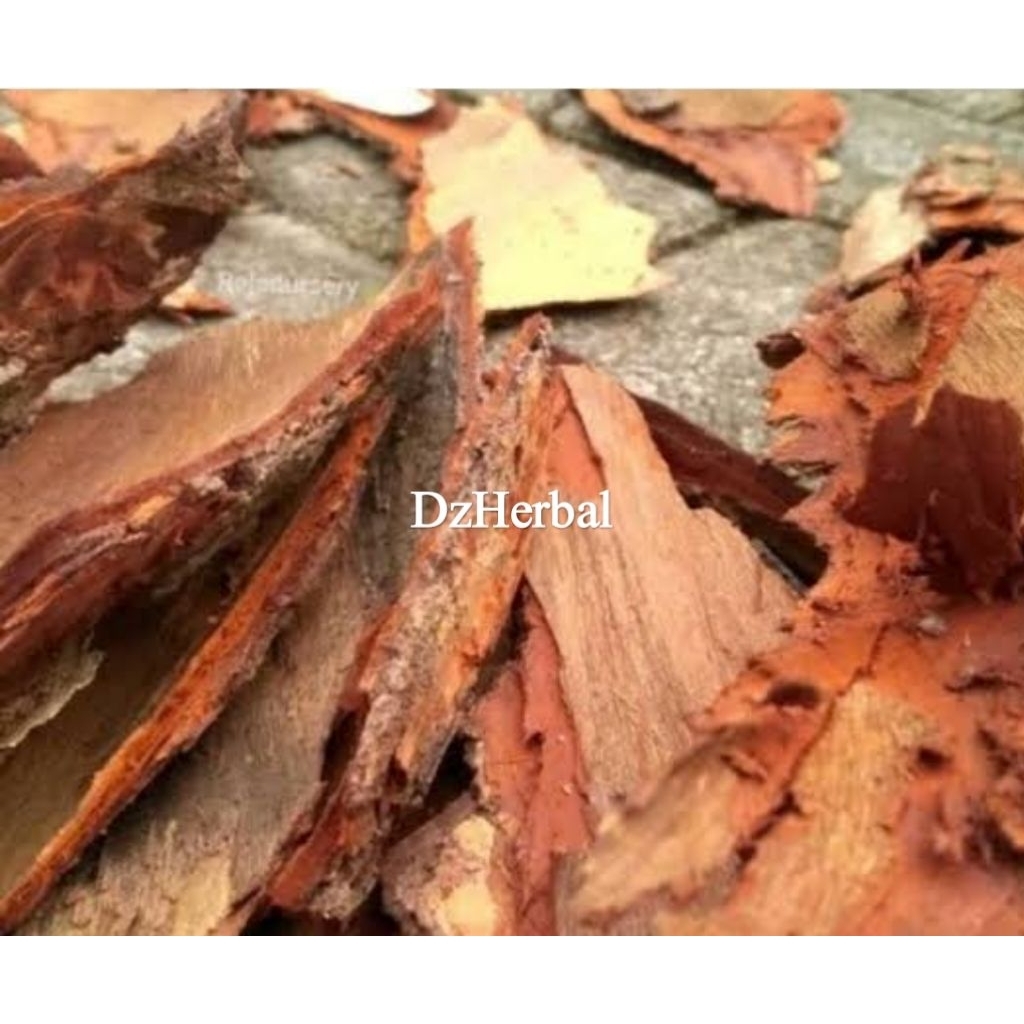 

Kulit mahoni segar / kulit pohon mahoni fresh 250 gram