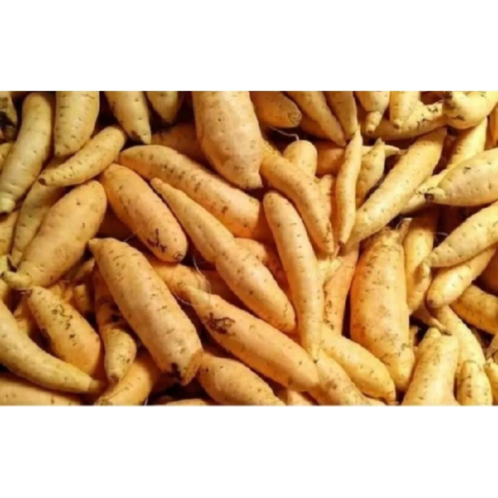 

Ubi cilembu T-O kecil kecil 1 kg / ubi madu cilembu