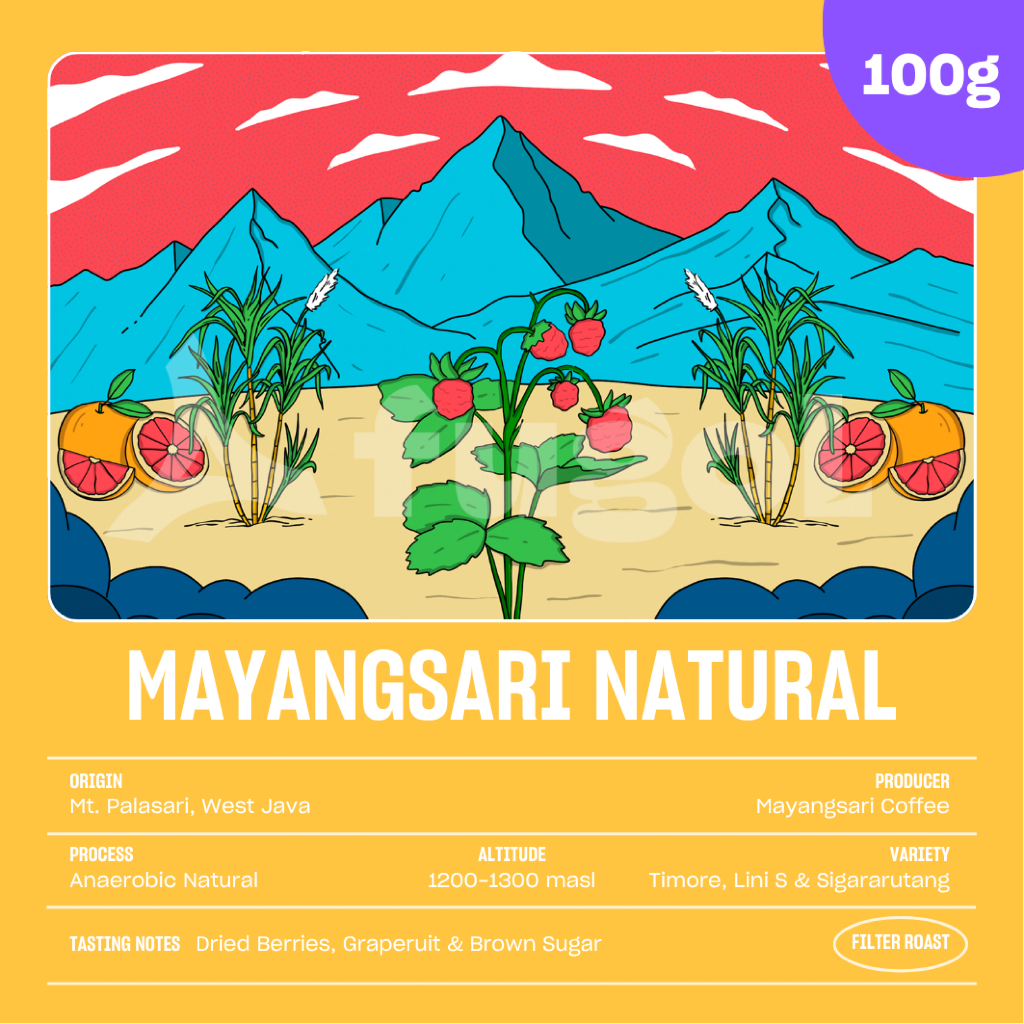 

Biji Kopi Arabika MAYANGSARI NATURAL (100gr) Specialty Coffee Beans