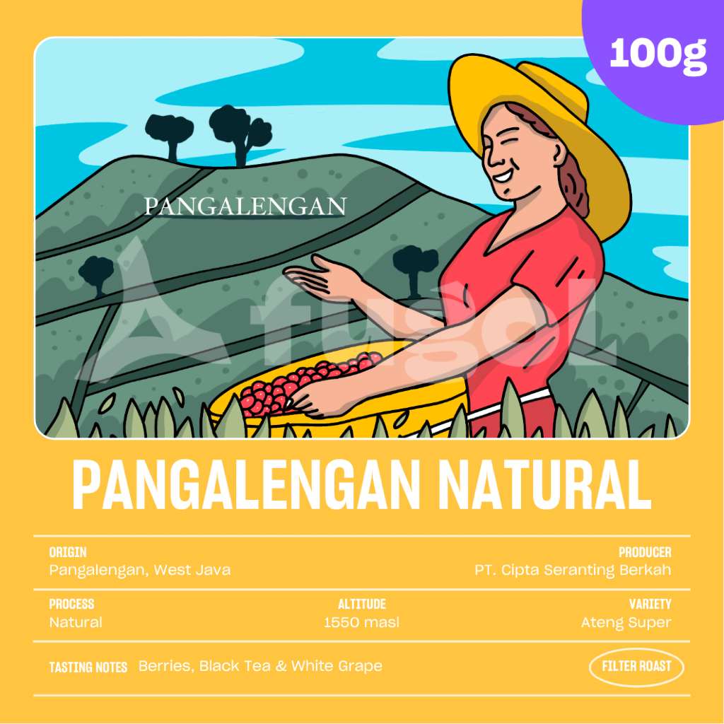 

Kopi Arabika Pangalengan Natural 100gr Single Origin Specialty Coffee