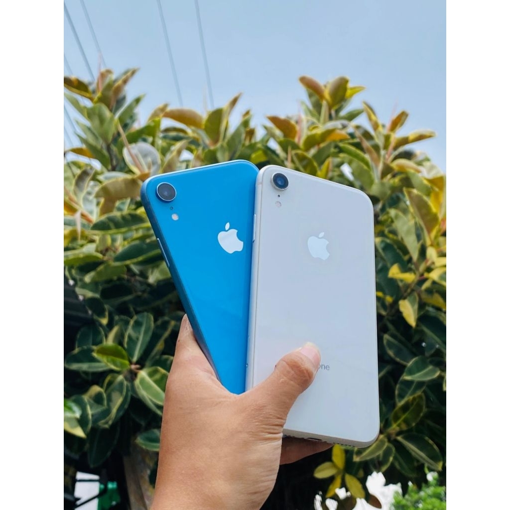 iPhone Xr ( 64GB | 128GB | 256Gb )