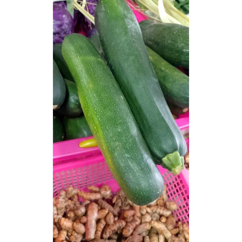 

Zucchini - Zukini Fresh 500 gram