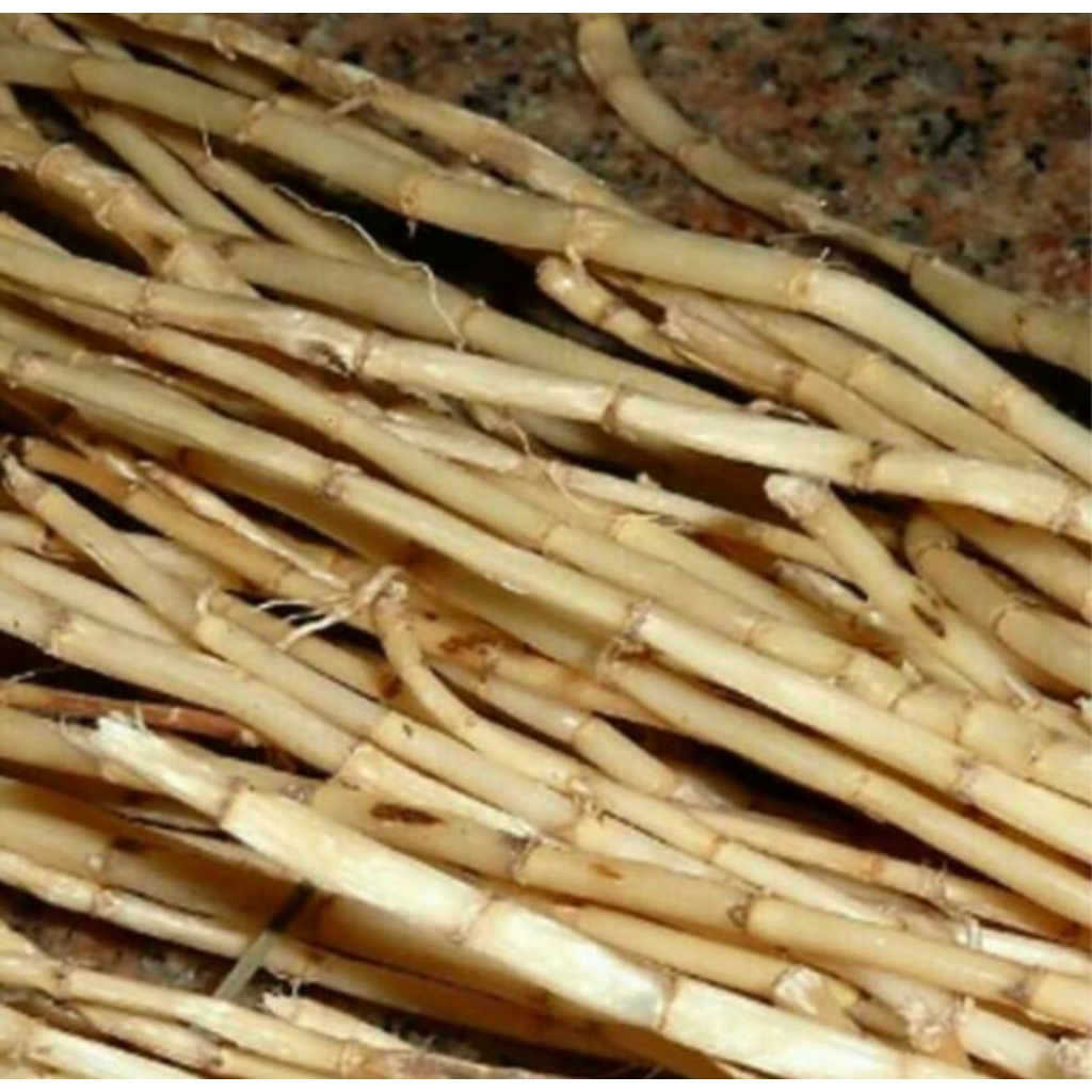 

jual akar alang alang/erih segar 1kg