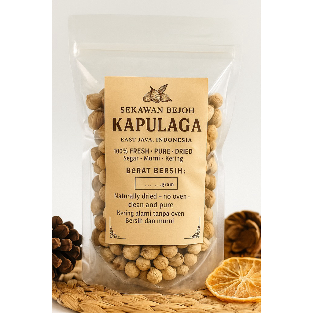 

Kapulaga kapulogo kering super banget potongan voucher belanja dijamin gratis ongkir