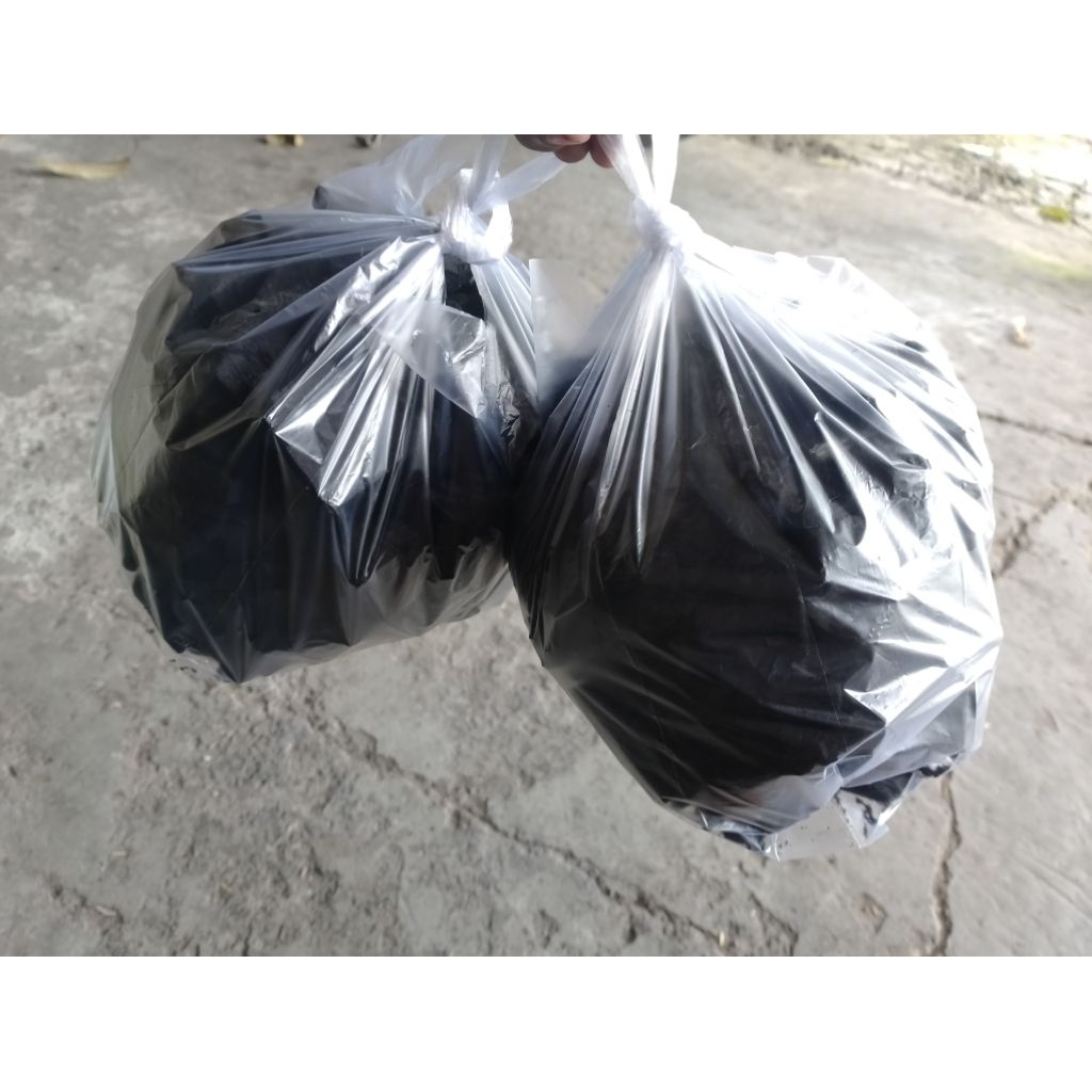 

Arang Kayu untuk Bakaran