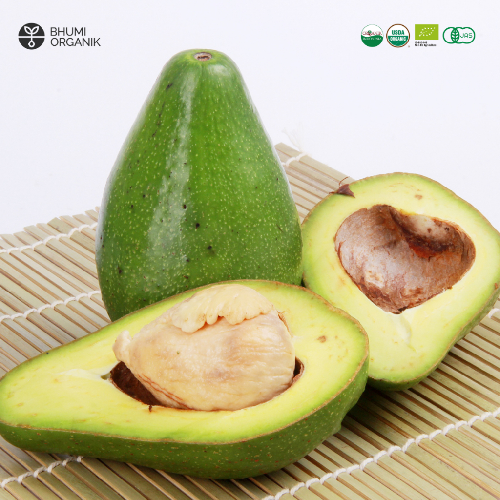 

Alpukat Organik 500 gram - Ceritanik / Bhumi Organik - Organic Avocado Alpukat Murah Alpukat Lokal Alpukat Premium Buah Alpukat