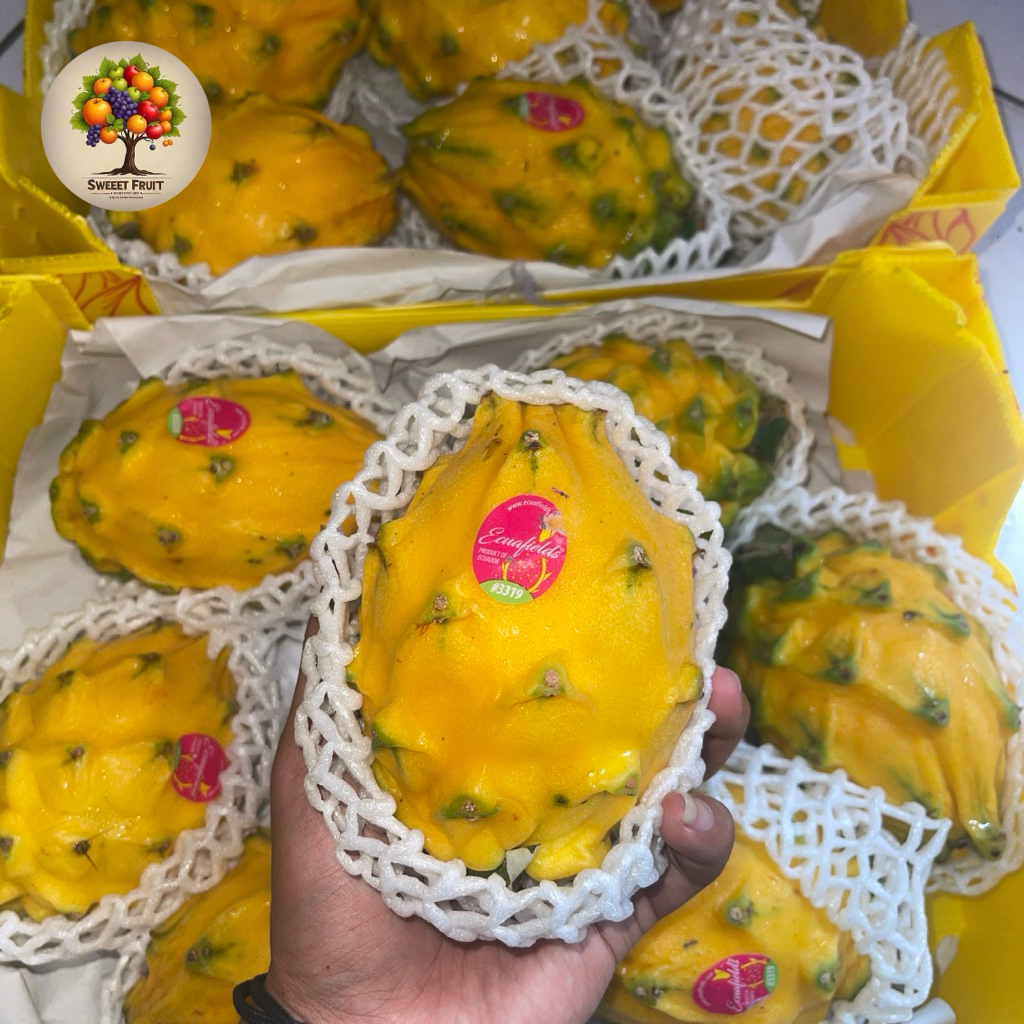 

Dragon Yellow Import Sweet | Buah Naga Kuning Import 1.5Kg