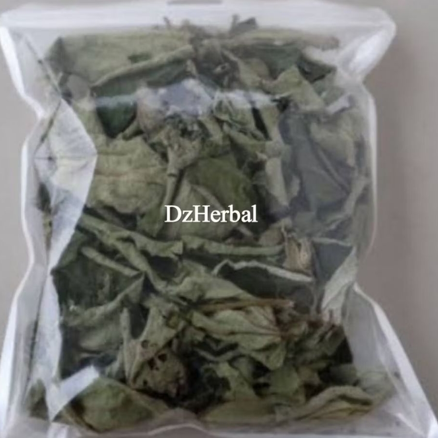 

Daun kersen kering MURNI daun per 2 bungkus