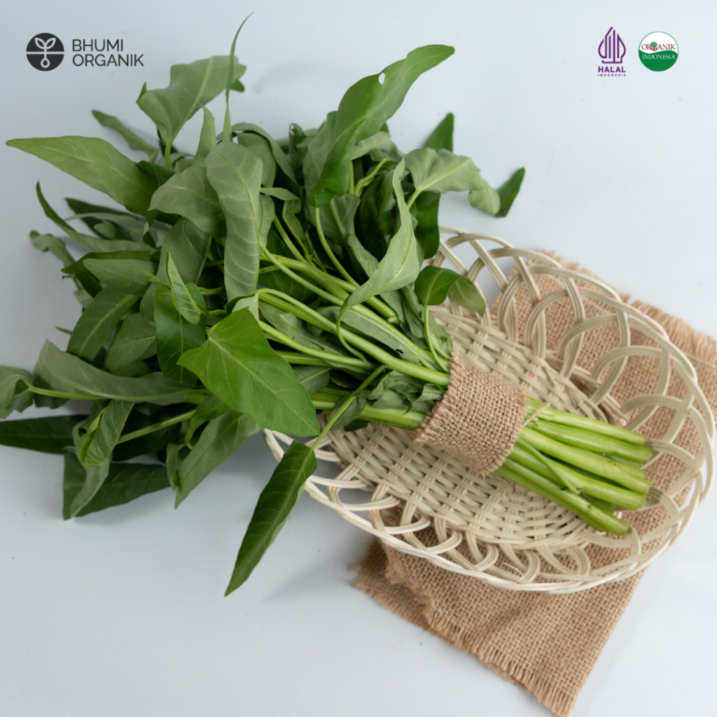 

Kangkung Organik 250 gram - Ceritanik / Bhumi Organik - Water Spinach Organic - Sayur Organik Murah - Sayur Organik Sehat - Sayur Organik Premium