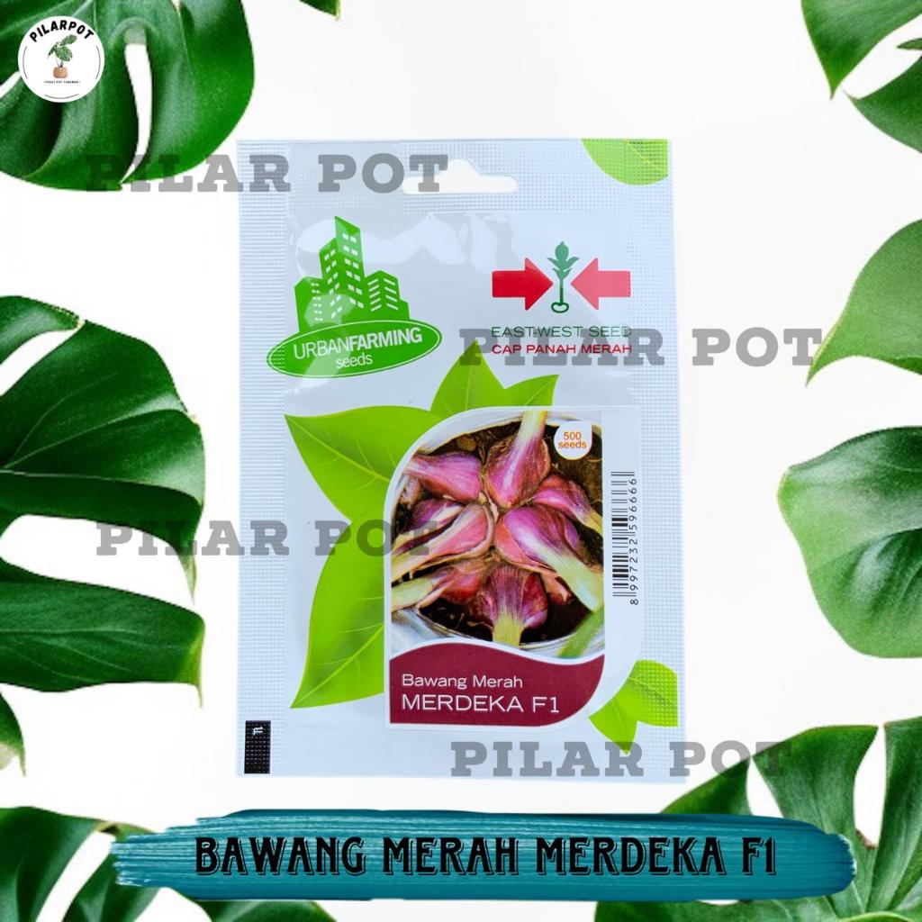 Benih Bibit Bawang Merah Merdeka F1 Cap Panah Merah - BAWANG MERAH MERDEKA F1 EAST WEST SEED