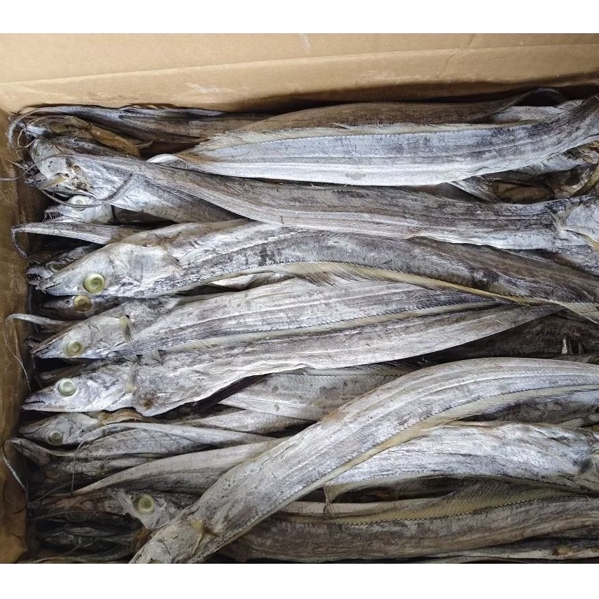 

ikan asin layur kering