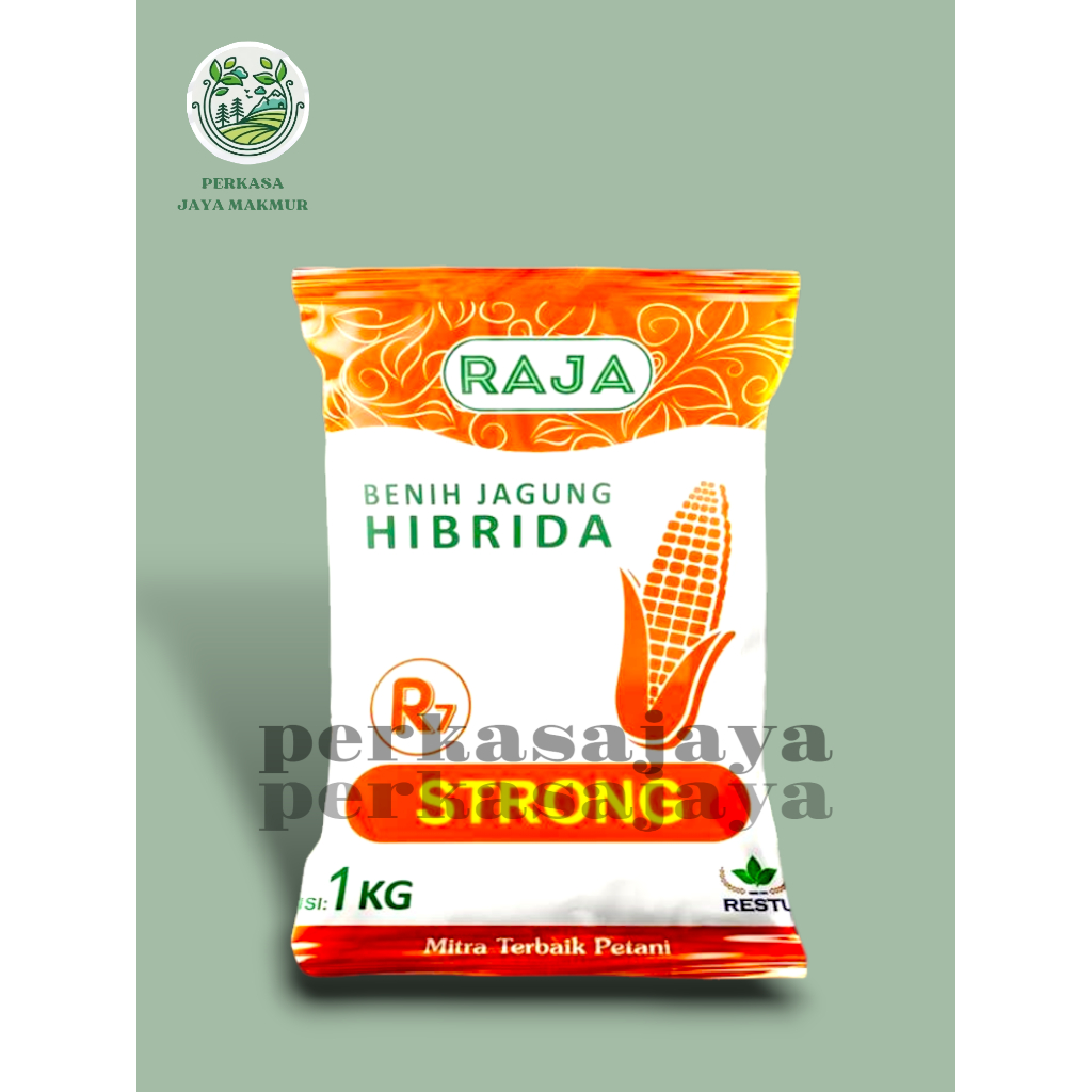 Benih Jagung Hibrida Raja R7 Strong - 1kg