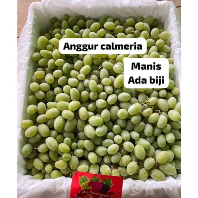 

Anggur Calmery Manis Ada Biji