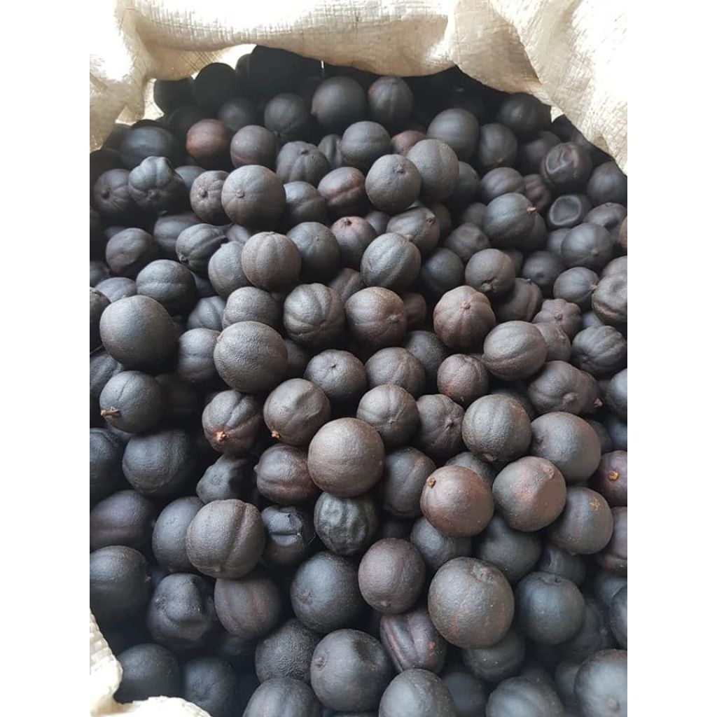 

LEMON HITAM KERING 2 BUTIR