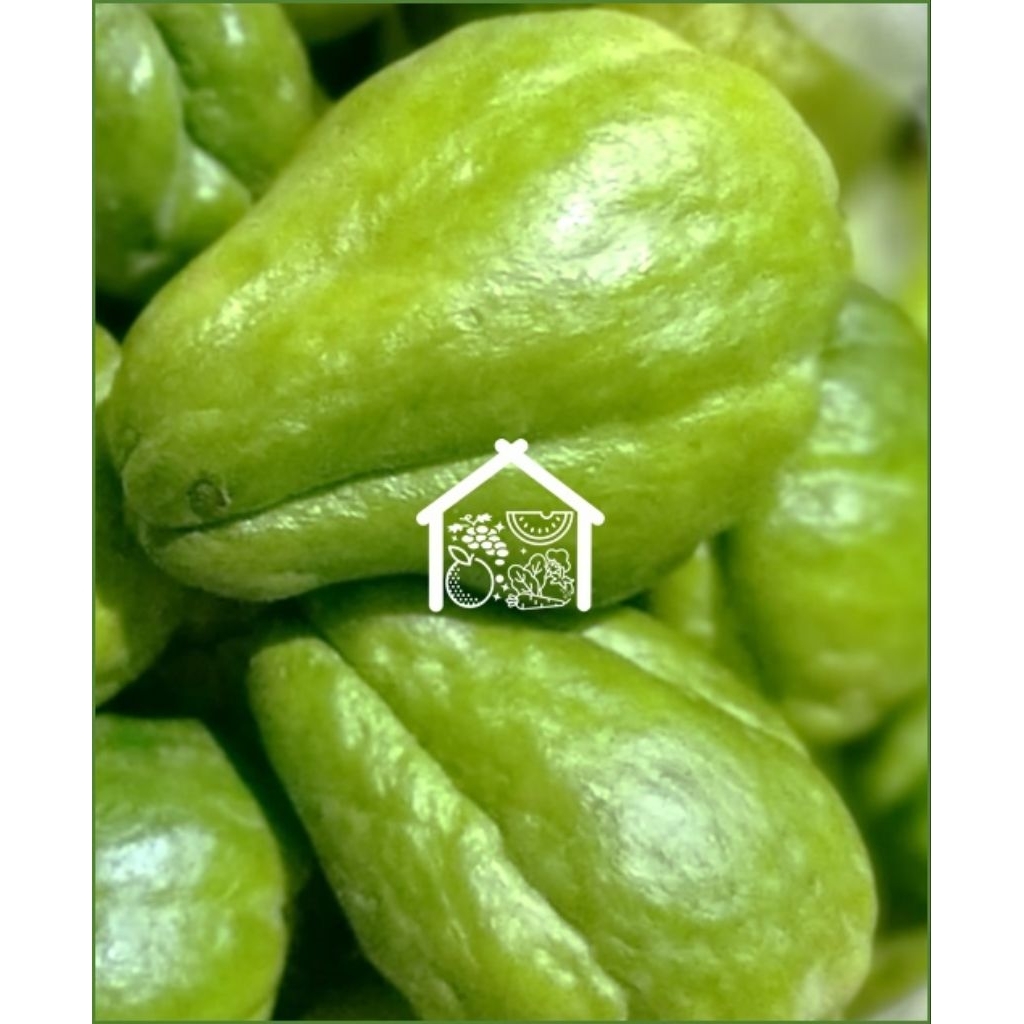 

Labu Siam Besar 1 Pcs Pilihan Hemat