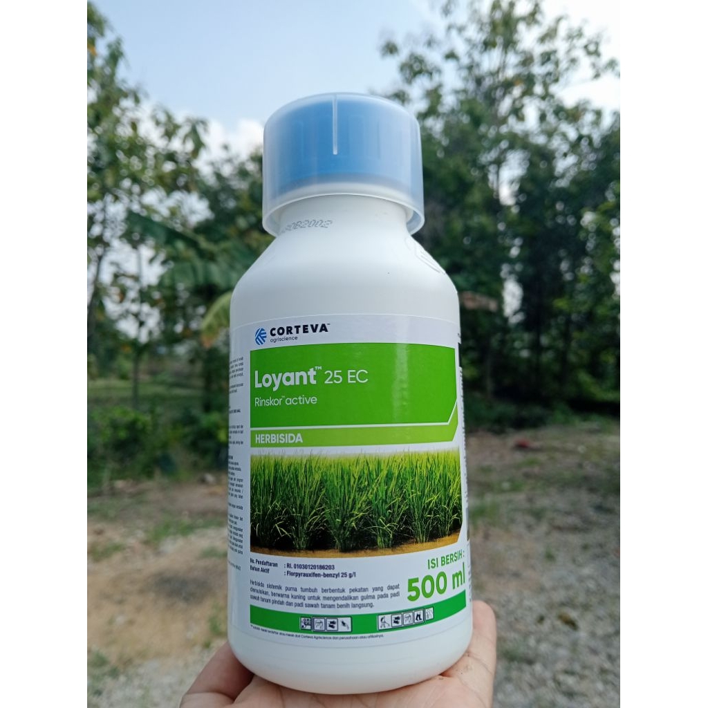 Herbisida sistemik Loyant 25ec kemasan 500ml Herbisida sistemik Padi