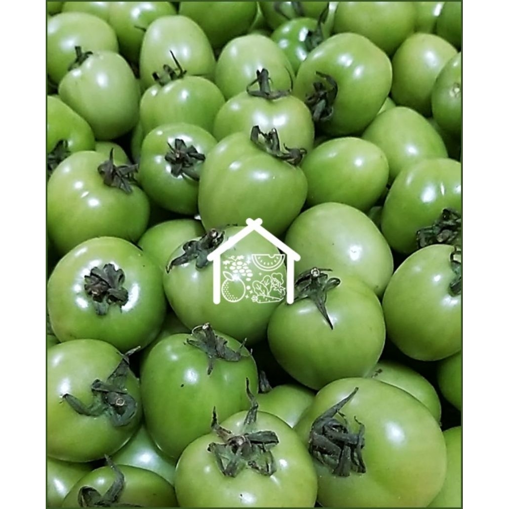 

Tomat Hijau 500 Gram Pilihsn Hemat