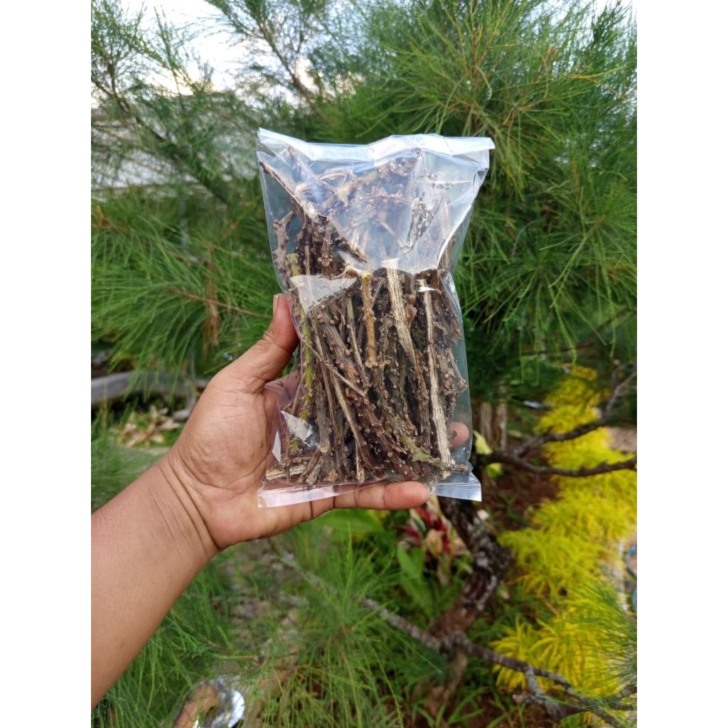

butrowali kering berat 1kg/ asli kering / butrowali hutan