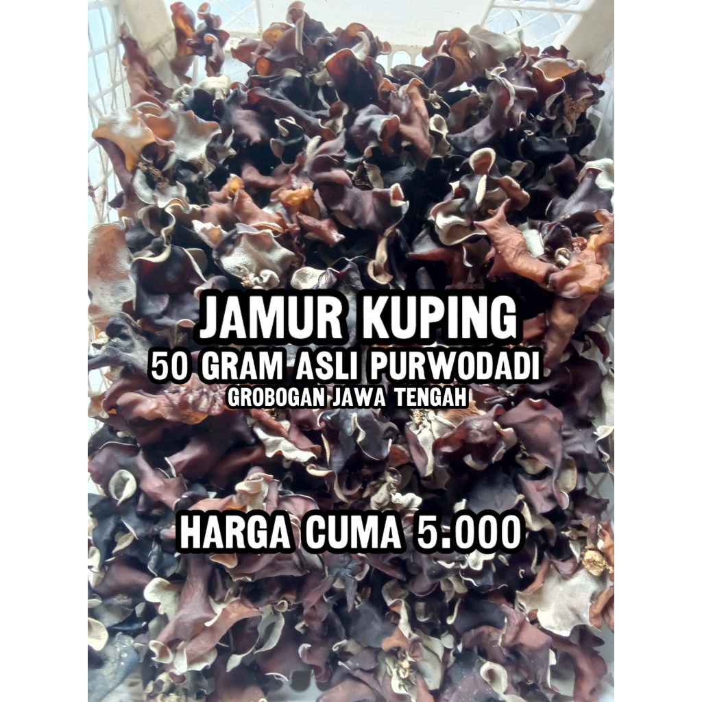 

Jamur kuping hitam kering 50gram