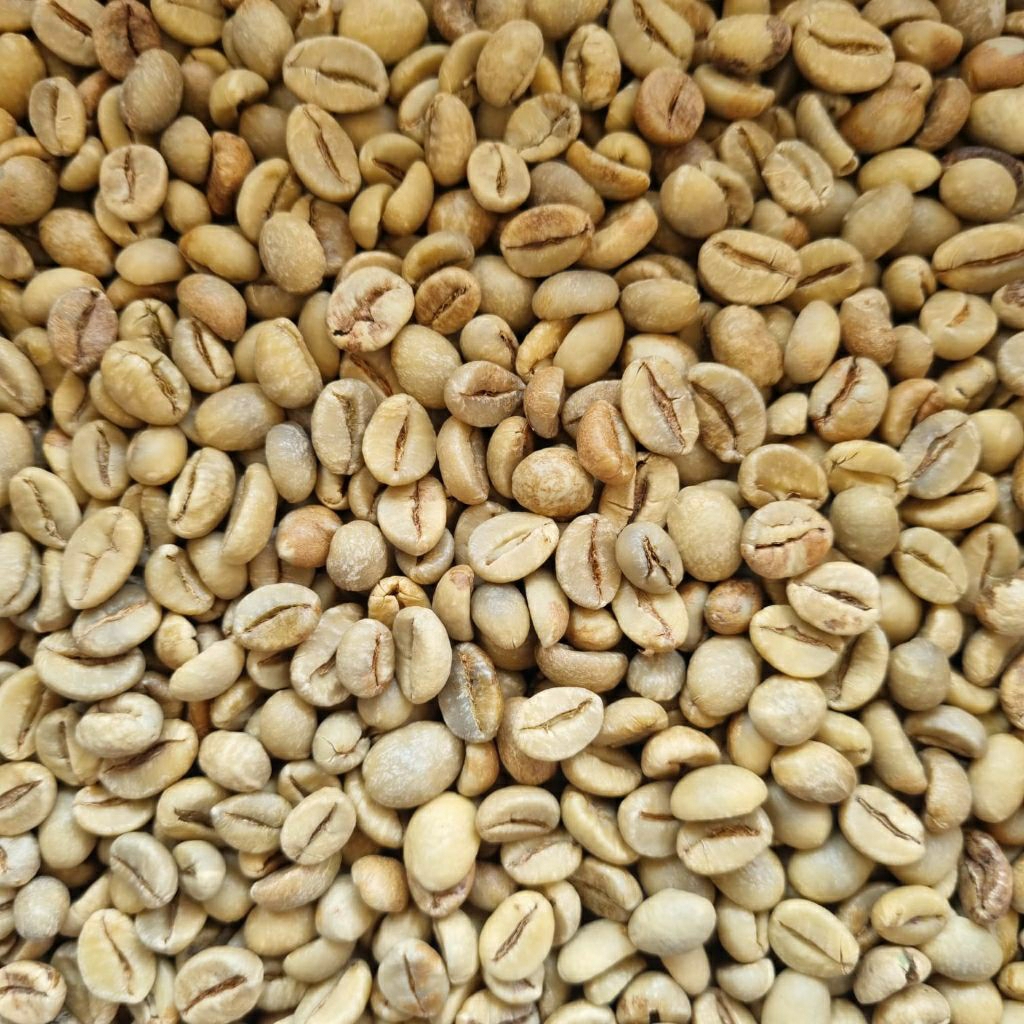 

Biji Kopi Mentah - Green Bean Robusta Dampit 250 500 gram