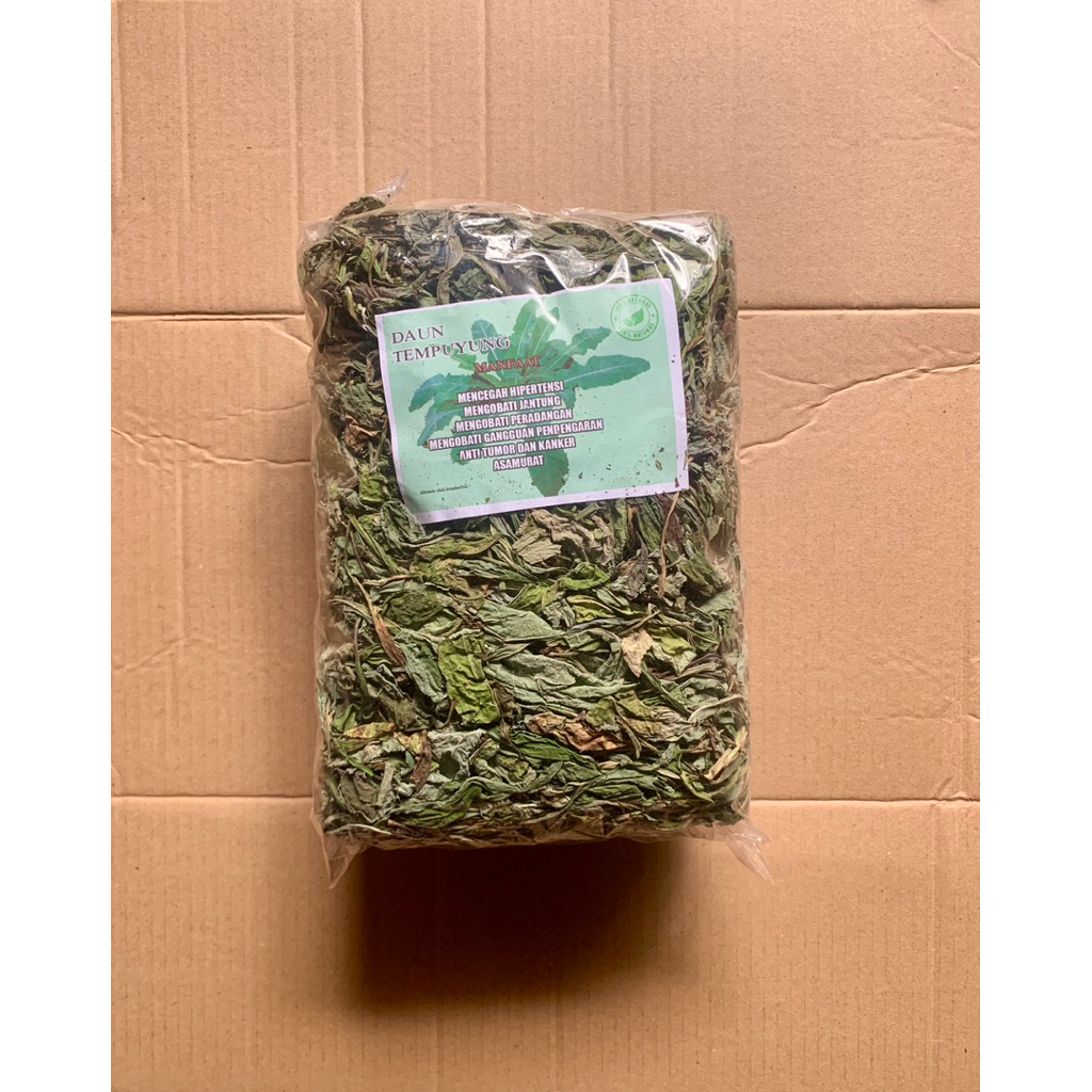 

daun tempuyung kering 500gr