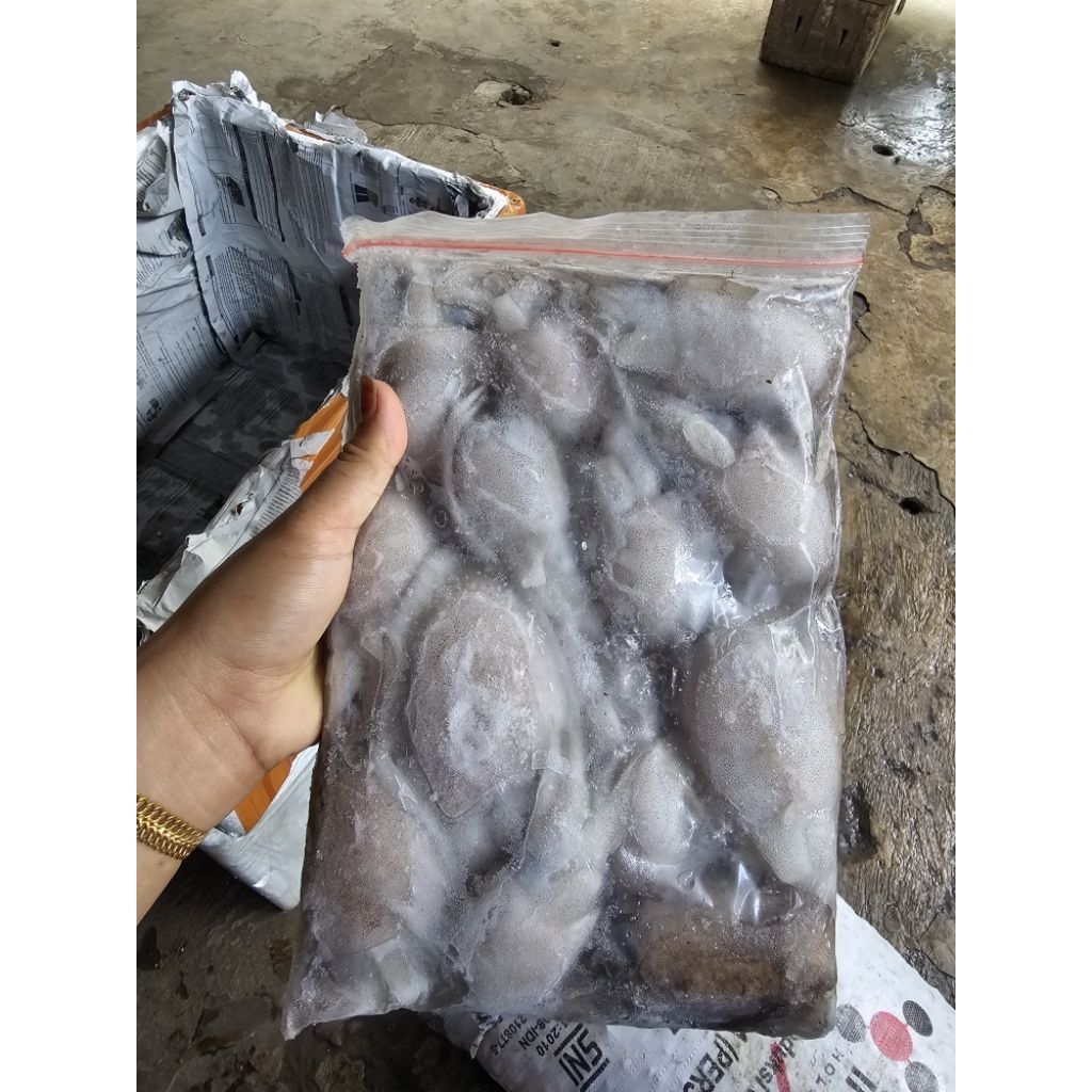 

SOTONG BEKU 1KG