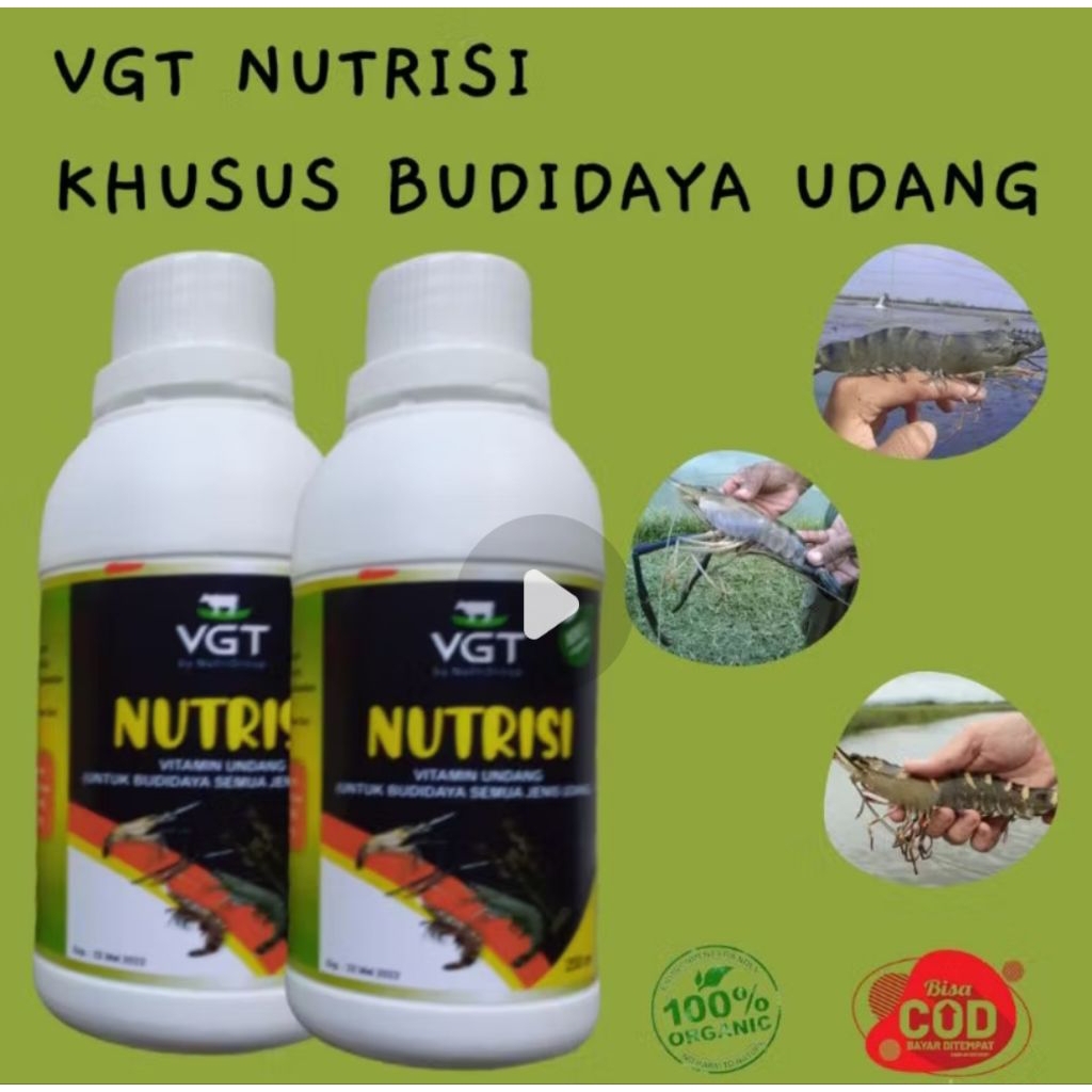 VGT NUTRISI UDANG