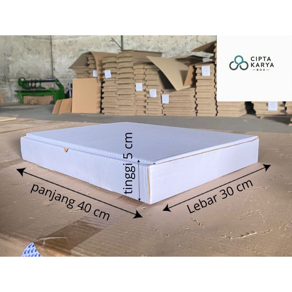 

box baru packing piza 40x30x5