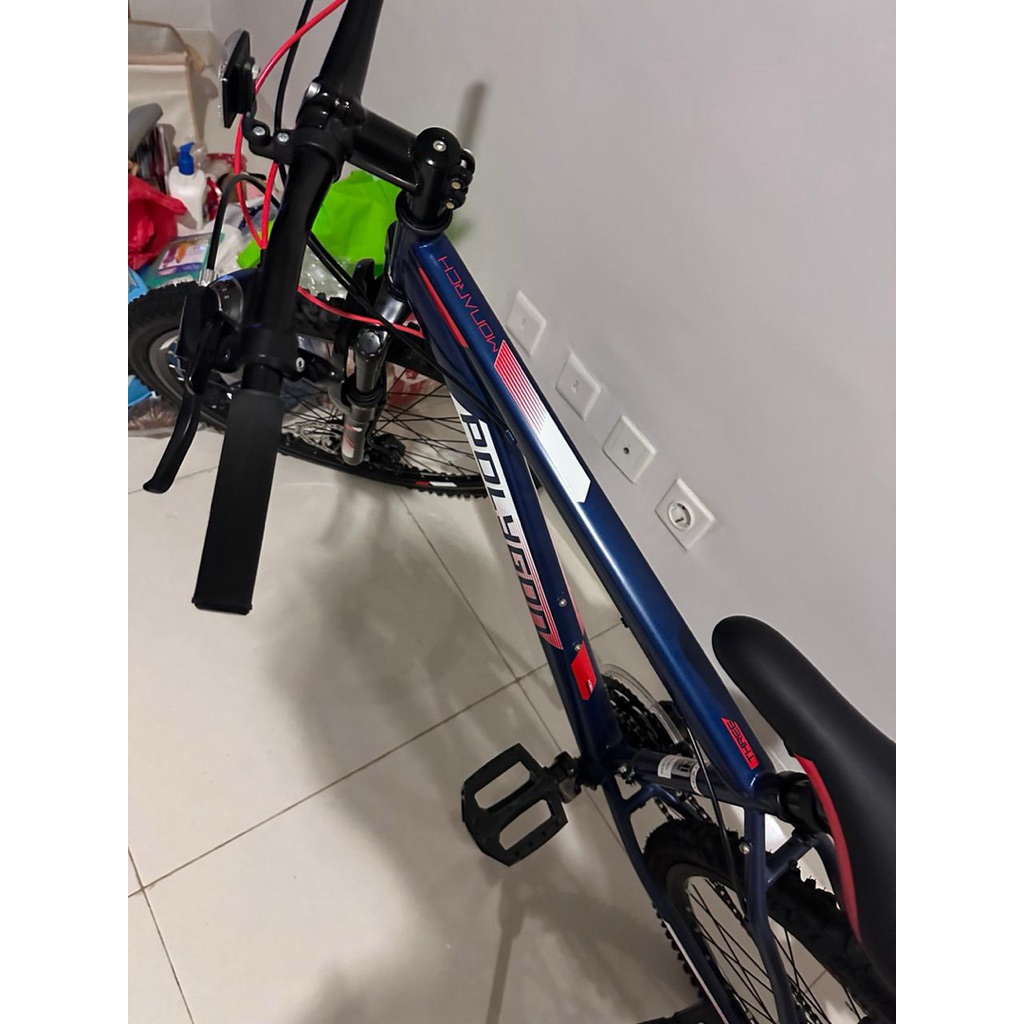 Polygon Monarch 26 inch